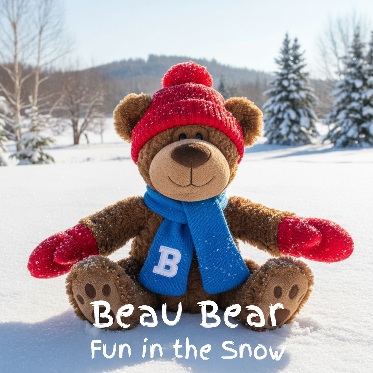 Beau Bear - Fun in the Snow - Book