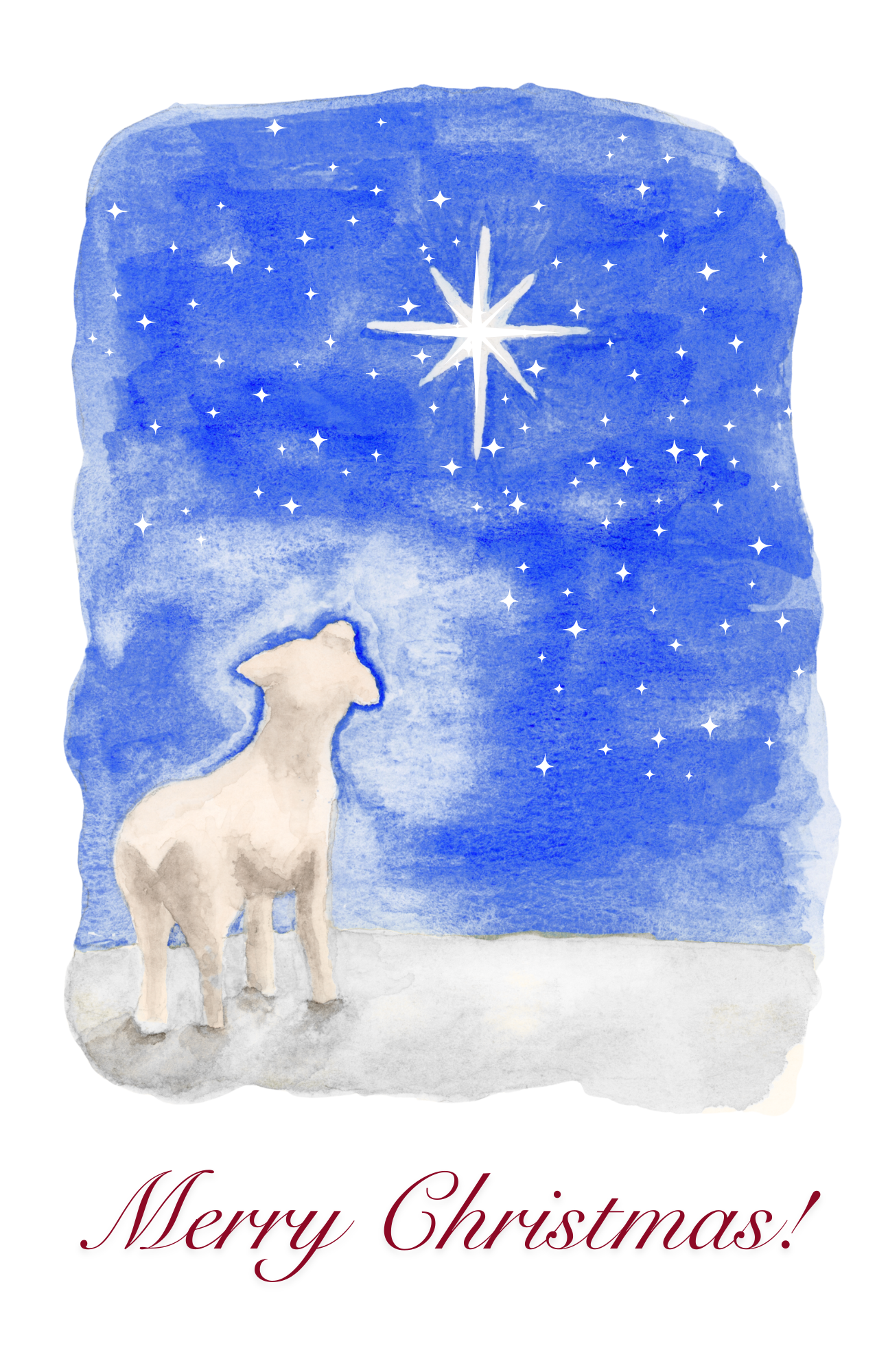 Christmas Card - Lamb looking at star