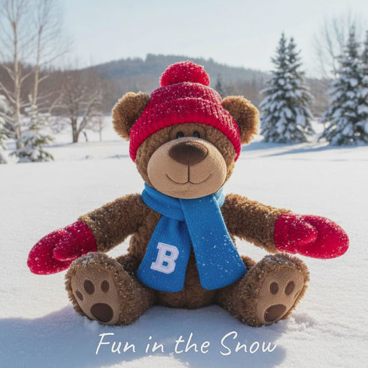 Beau Bear - Fun in the Snow - Book